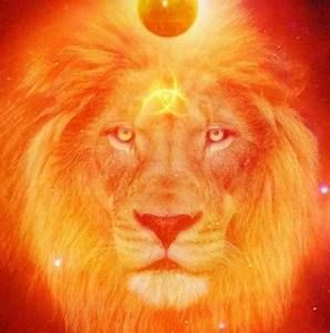 Meet your Posher, Timothy